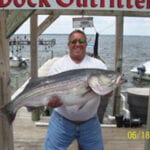 A man wearing a white shirt and jeans while holding a huge fish