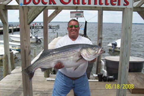 A man wearing a white shirt and jeans while holding a huge fish