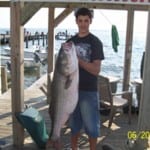 Young man proudly holding a large fish by the water.